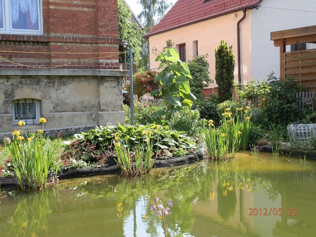 Ferienwohnung Fedler Blankenburg  Phòng bức ảnh